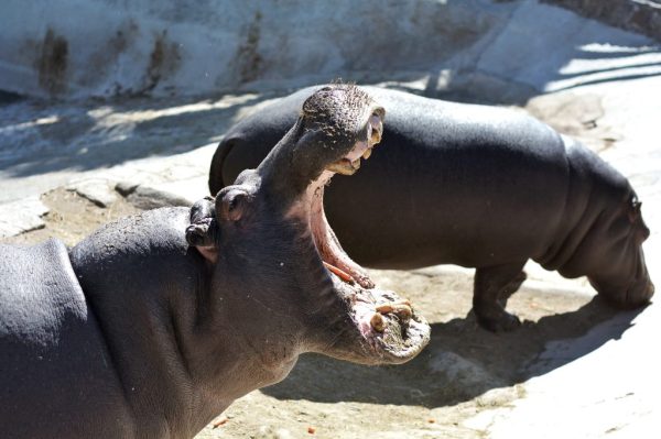 d4f441bf-d811-4895-8ccb-abcd9f35ecf0