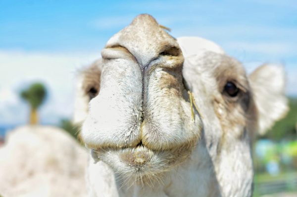 d87ce2a7-1d23-490a-b1c2-212f903b15a1