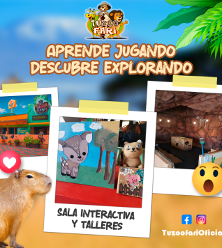 sala interactiva y talleres